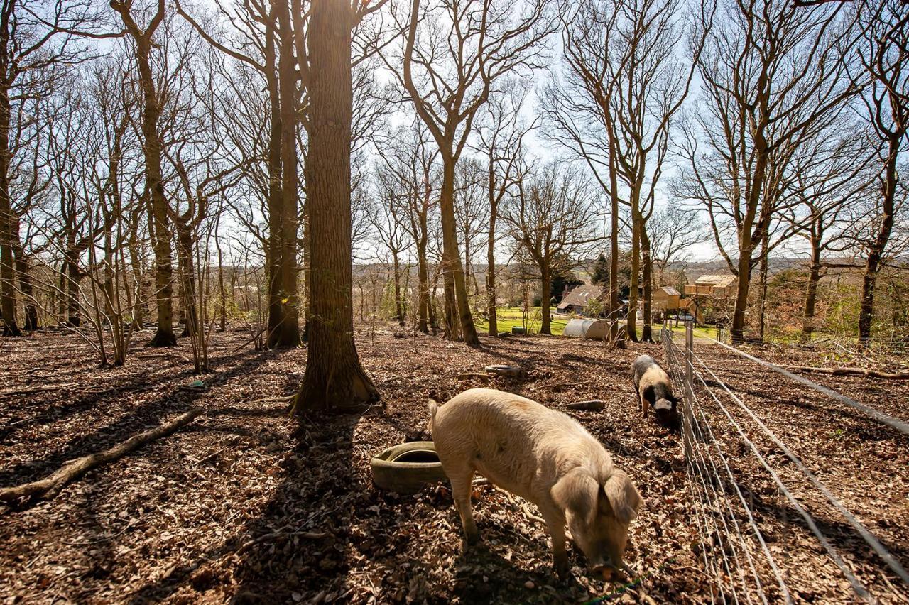 Oakside Tree Tops Canterbury Esterno foto