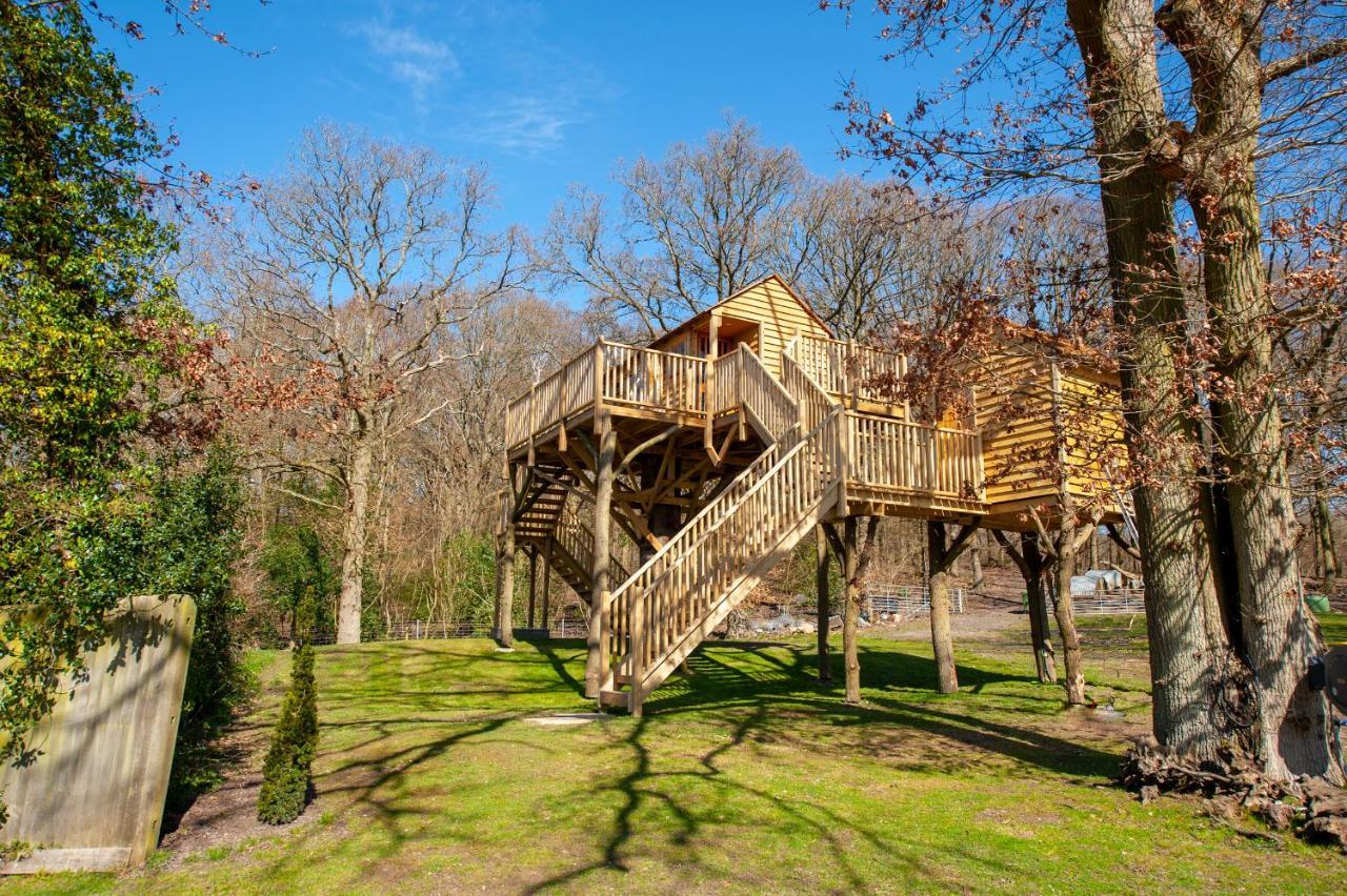 Oakside Tree Tops Canterbury Esterno foto