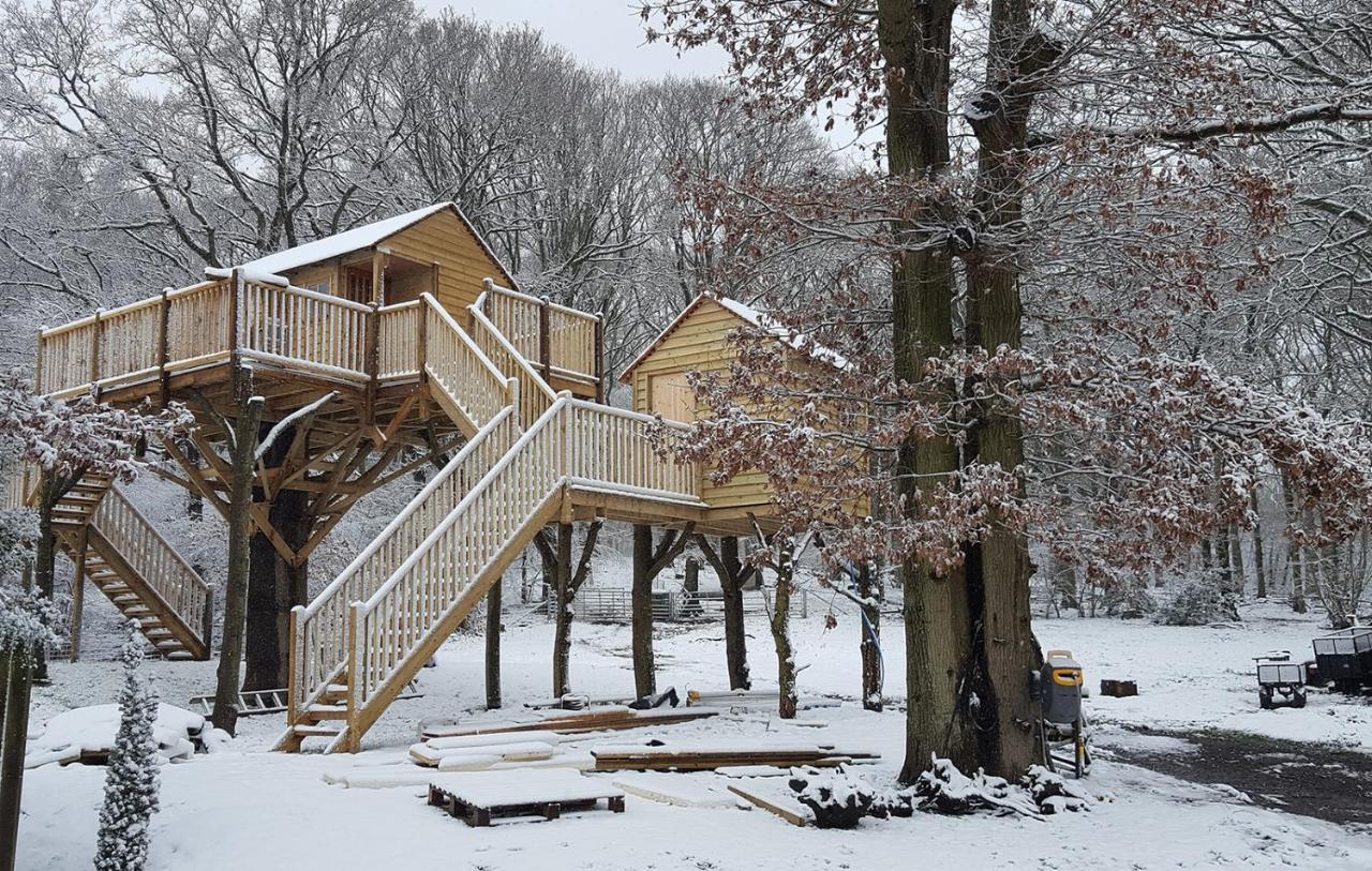 Oakside Tree Tops Canterbury Esterno foto